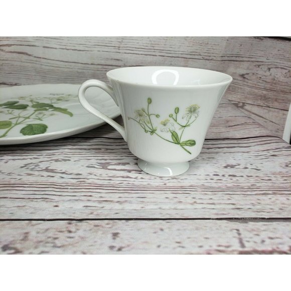 Vintage Hocquart Del Et Sculp Pl 95 Clematite Brulante Tea Cup And Plate Set - Picture 11 of 12